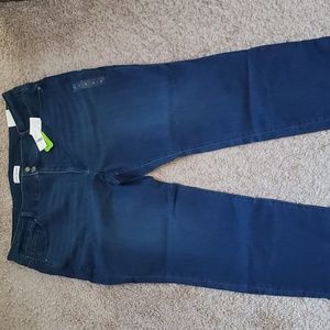 Lane Bryant Tighter Tummy Straight Jeans size 28